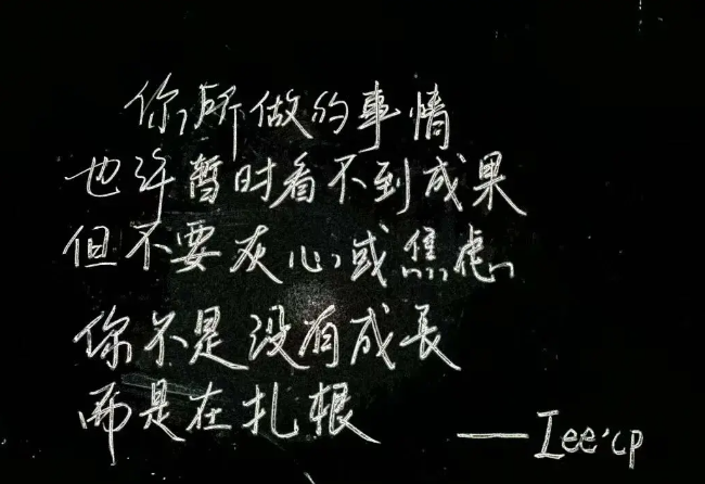 励志片——《李宗伟·败者为王》