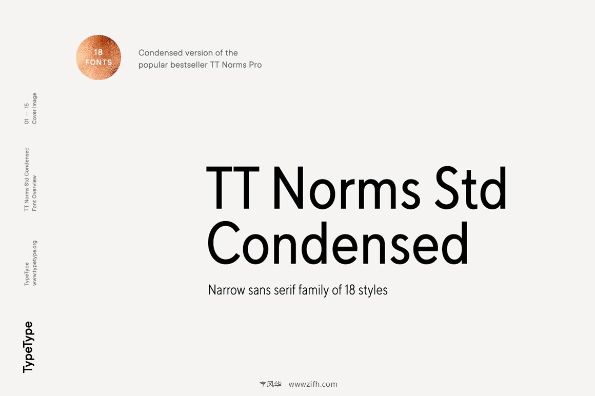 TT Norms Std Condensed.jpg