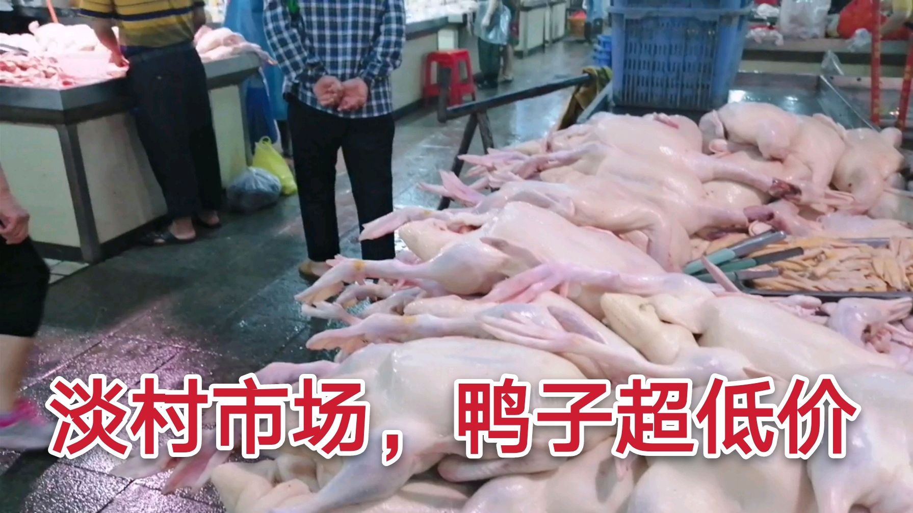 广西南宁淡村市场,鸭子超便宜4.3块钱一斤,老板一天卖几千只