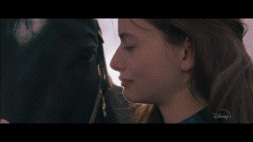 畅销小说改编的最新电影《黑神驹2020 》