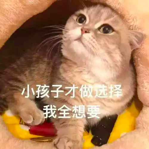 我全都要是什么梗？