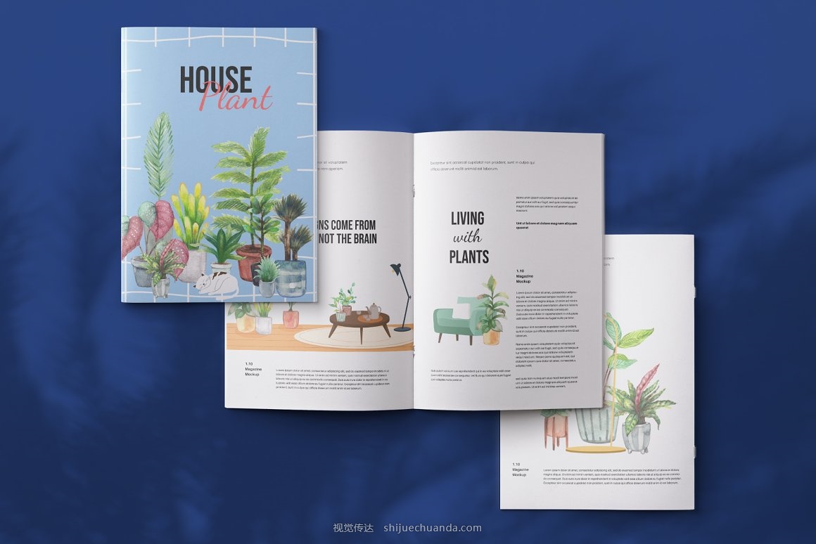 House Plants Watercolor set-10.jpg