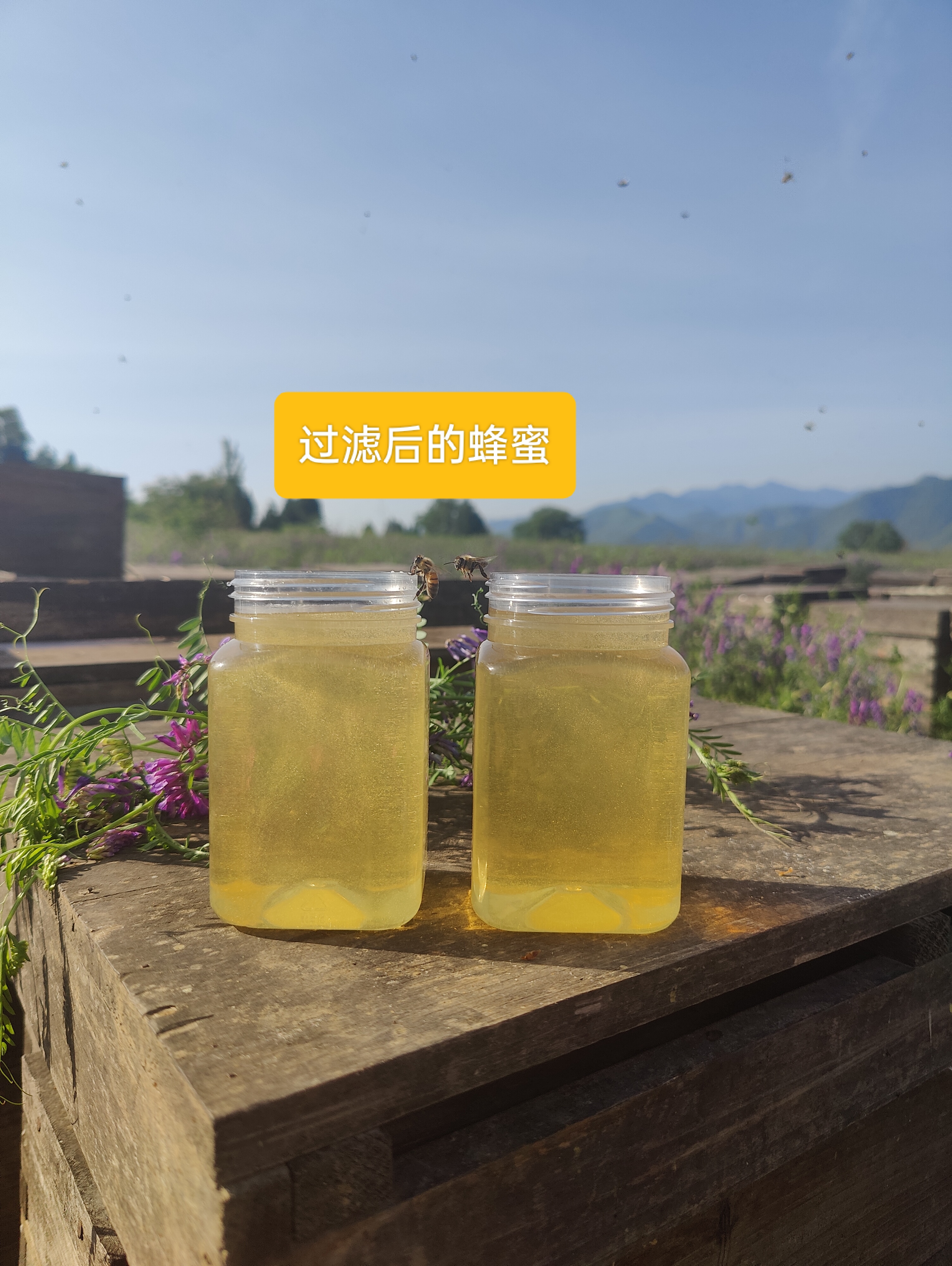 蜂蜜放时间长了过期吗(请问蜂蜜放的时间长了还能吃吗)
