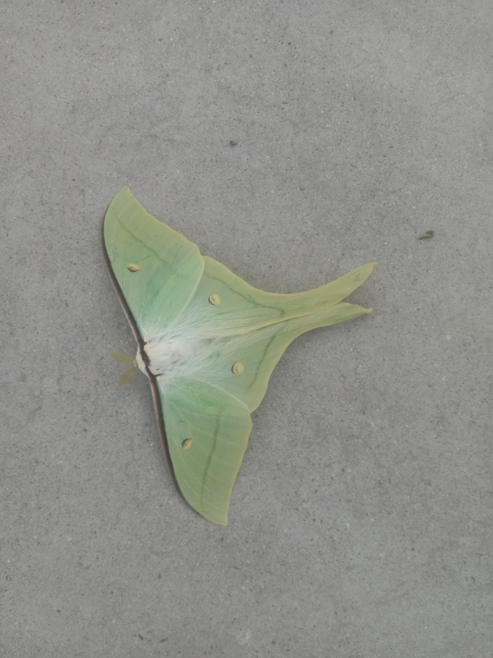 牛毛中的牛道理 一个人揣着一根牛毛就说拥有一头牛,那是吹牛;一个人