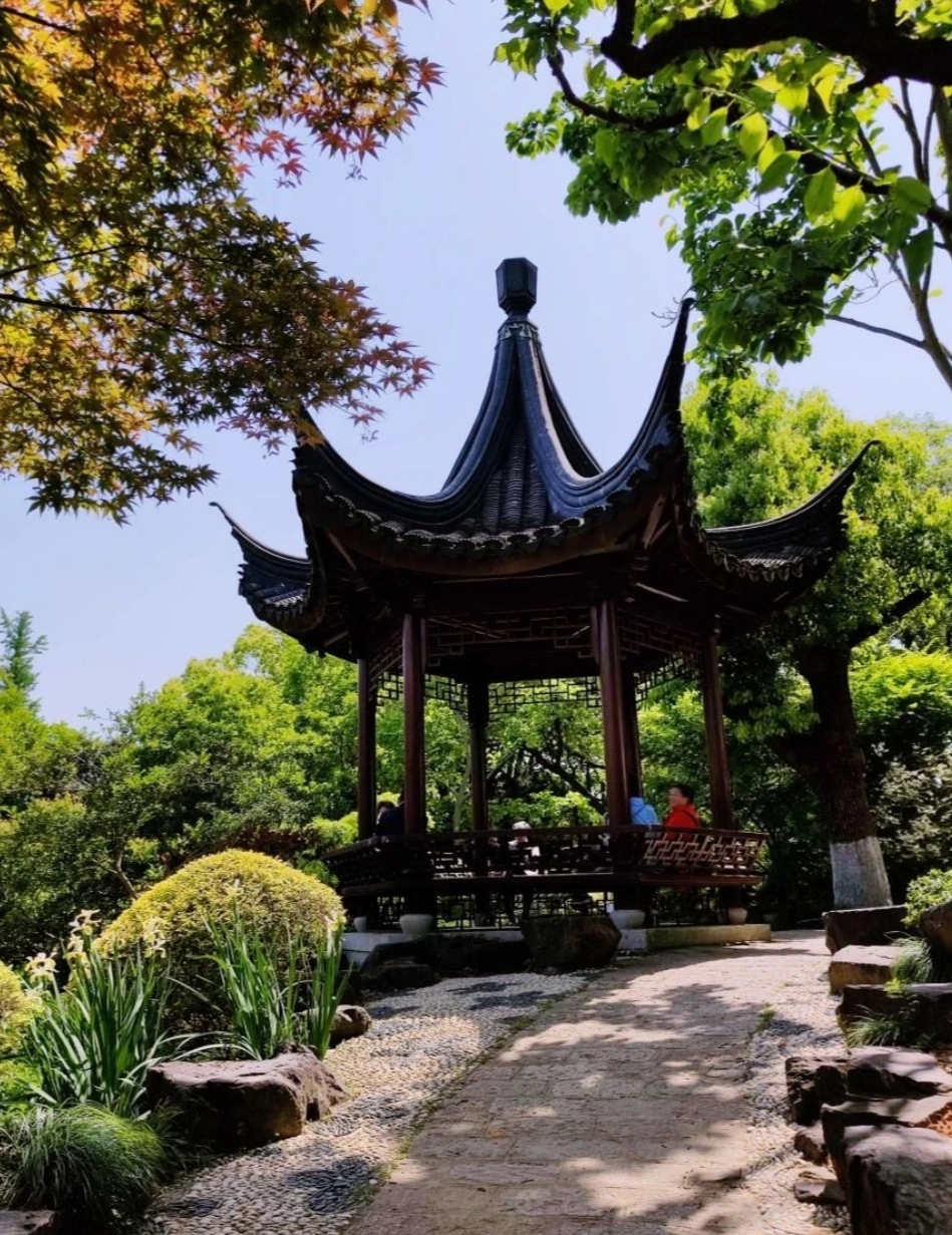 上海莘庄公园大自然奇观