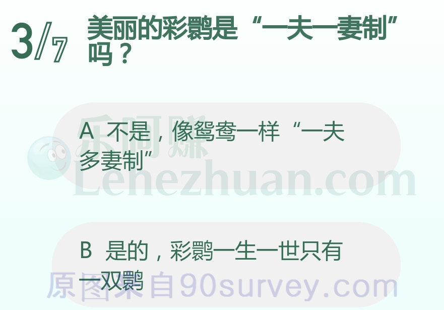 彩鹮一生一世只有一双鹮