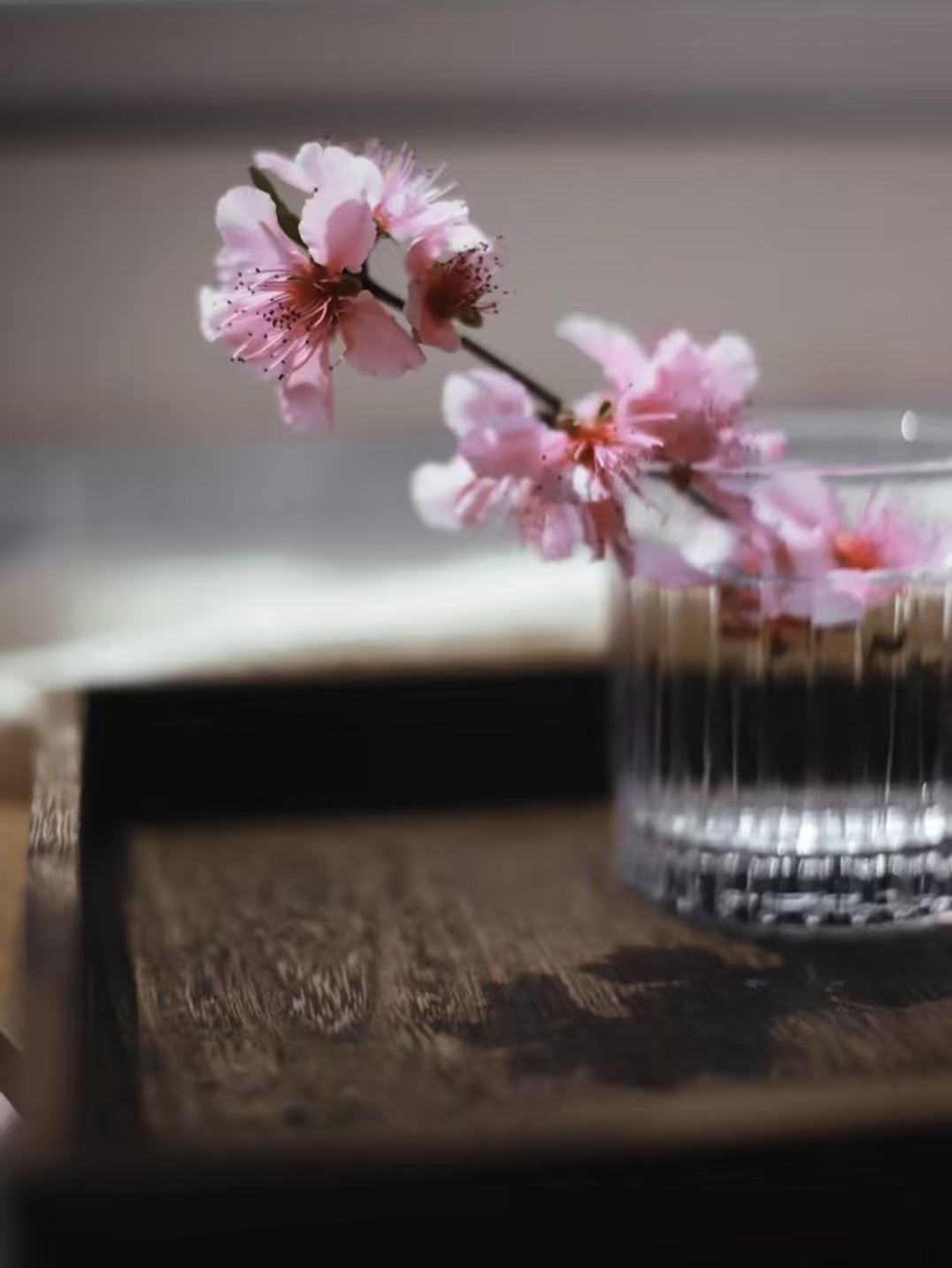 内心安静,淡然从容,才是我们寻常日子里该有的美好