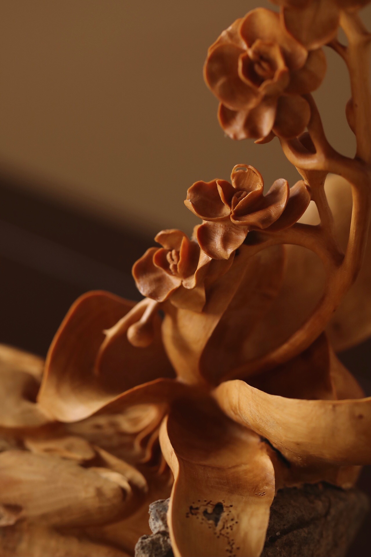 小叶黄杨木蝴蝶兰草