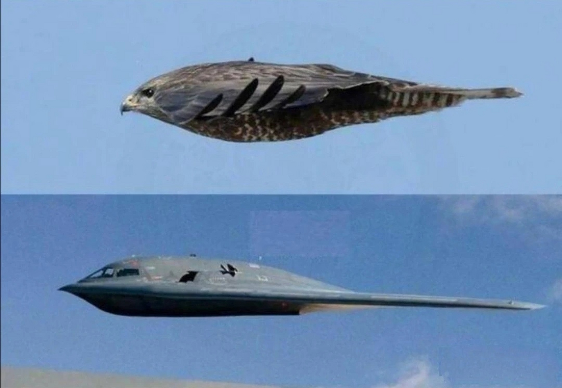 b2隐身轰炸机虽已服役多年,但仍然是轰炸机里面的扛把子,一直被它的