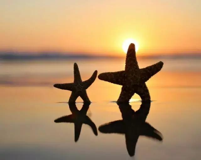 学会包容而不是纵容