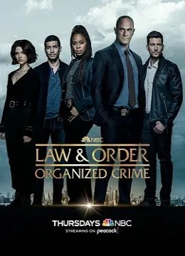 法律与秩序：组织犯罪第三季彩
