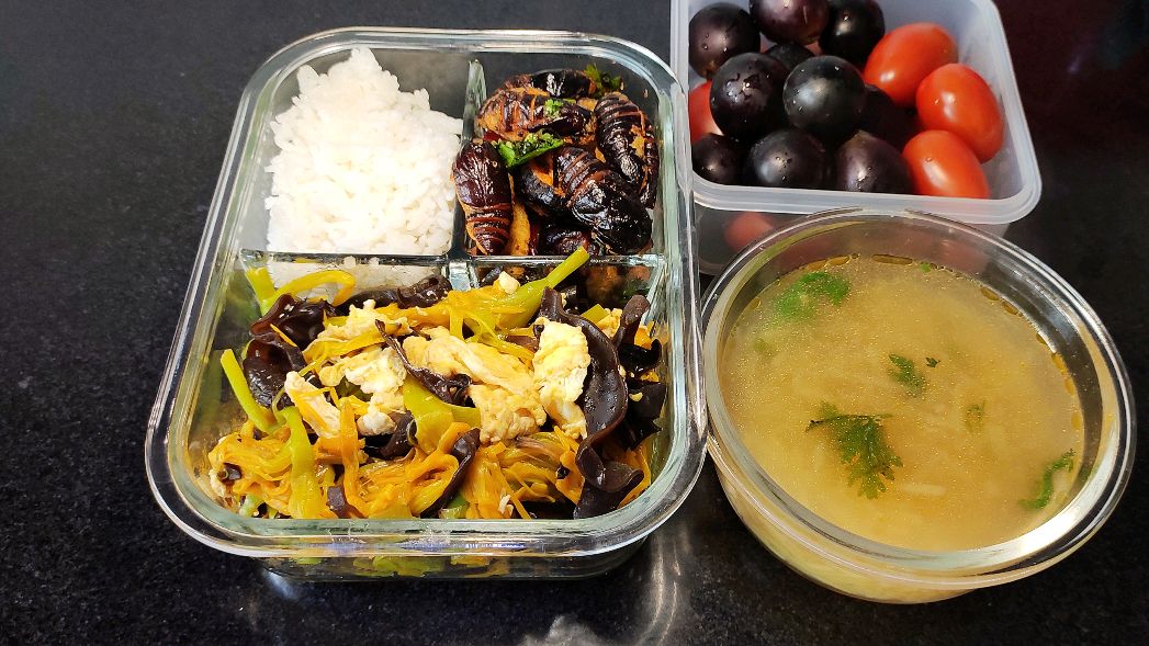 给老婆送午饭的第十八天,黄花菜木耳炒鸡蛋和开边茧蛹,老香了