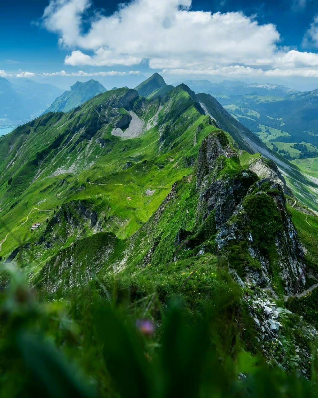 八月云游旅程 最爱这一抹,悠绿山谷,烂漫山花#旅行