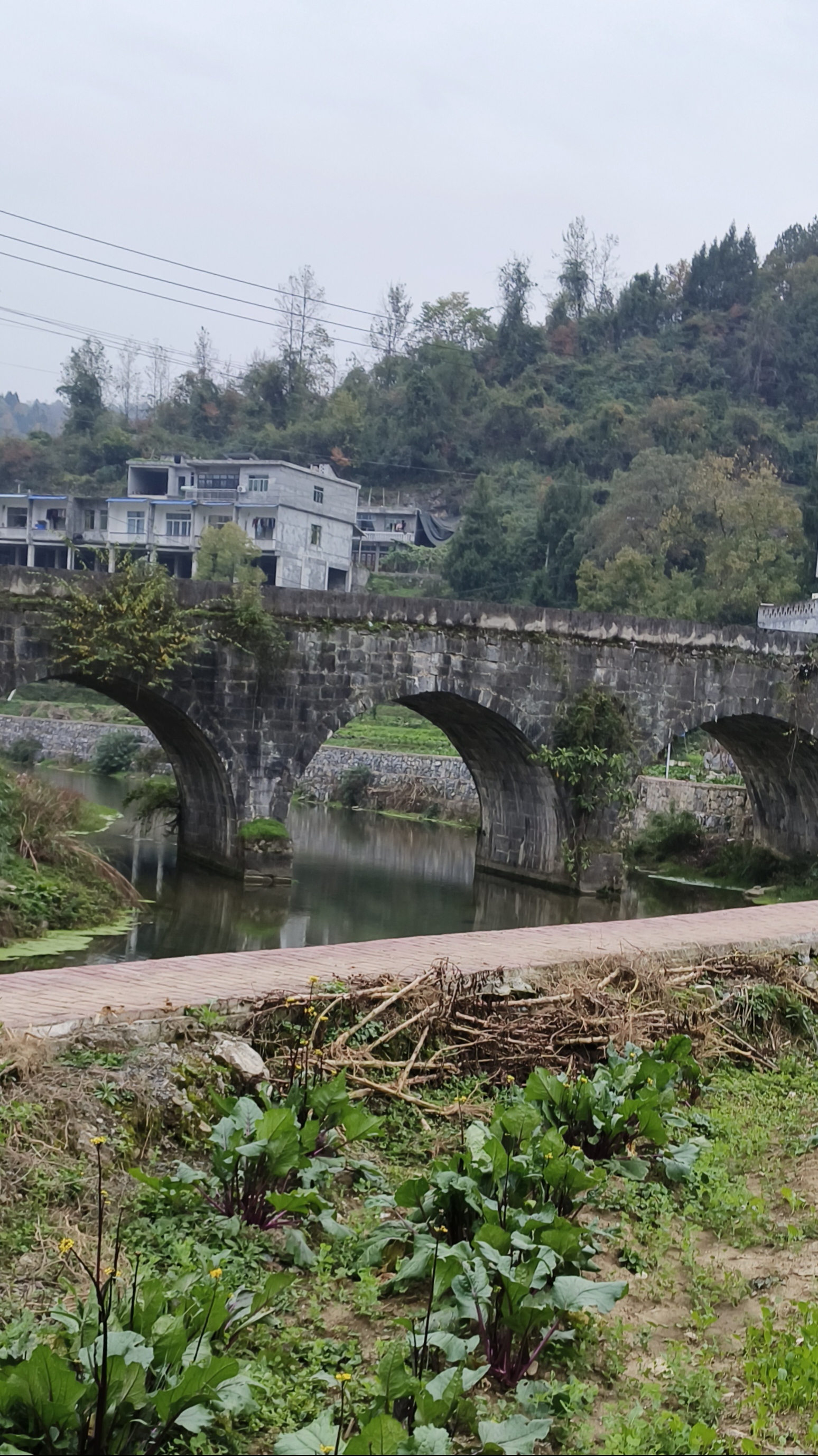 听说这桥已经有几百年的历史了,桥下还有一把剑,可是我找了半天也没有