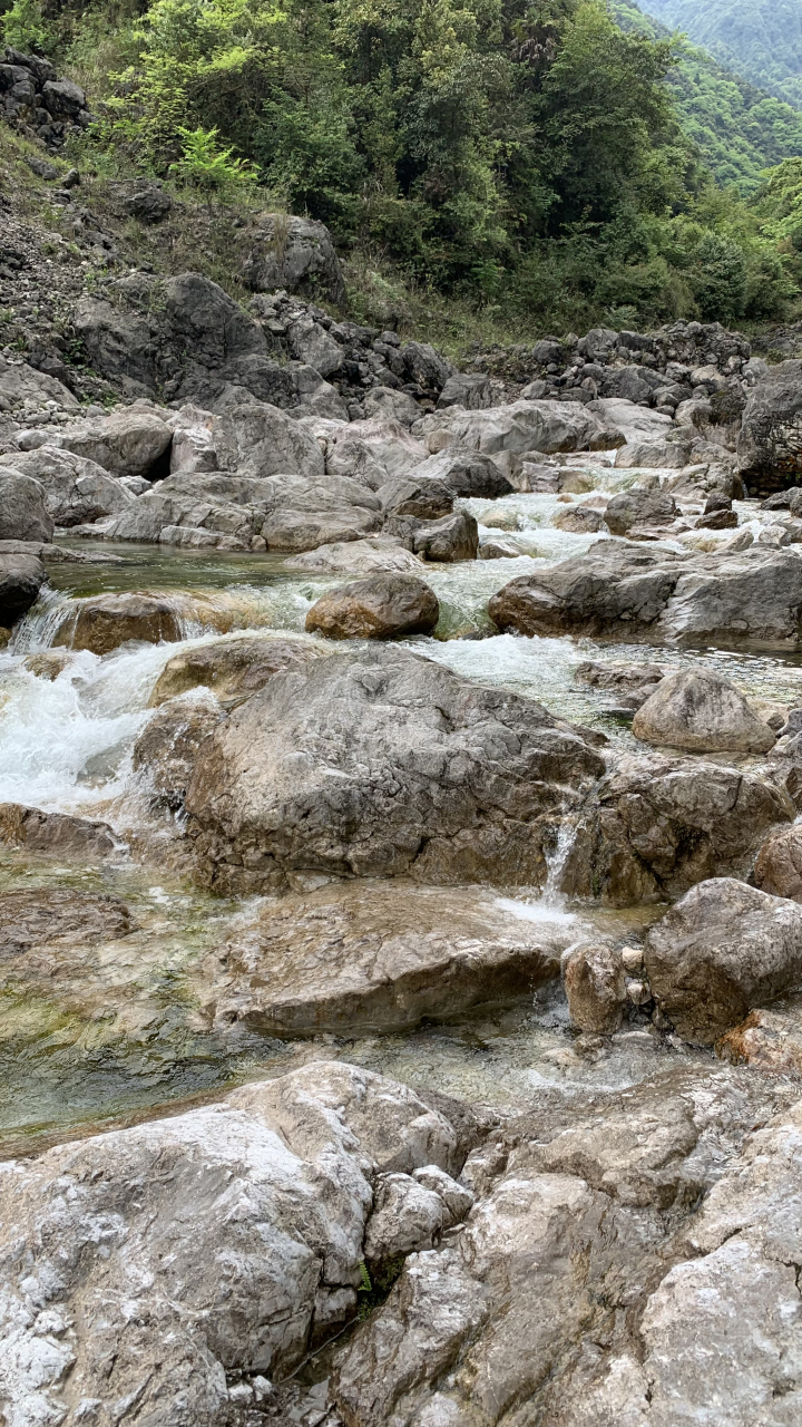 山间里的溪流,清澈见底,听着水流声,感受最真实的自己,大自然的恩赐!
