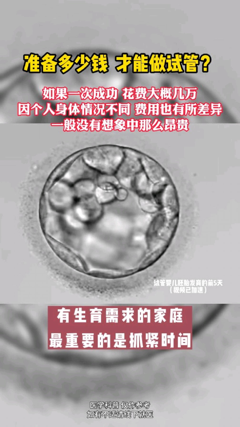 试管婴儿大概好多钱(试管婴儿大约花多少钱)  第2张