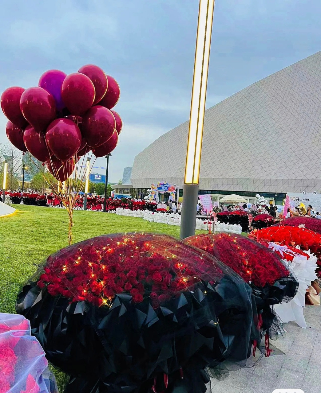 和肖战一样帅的就算了,还找不到比虾姐更懂浪漫的——观如梦花海有感