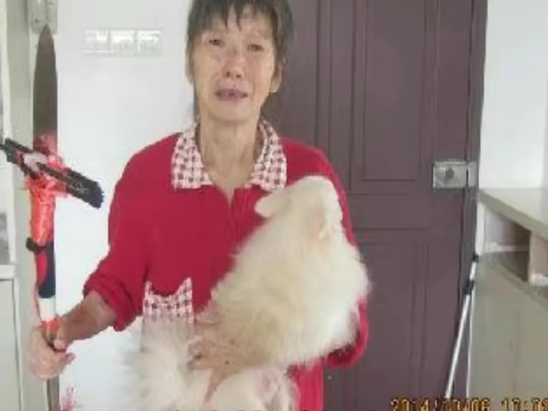 天涯十大诡异事件——小婷562