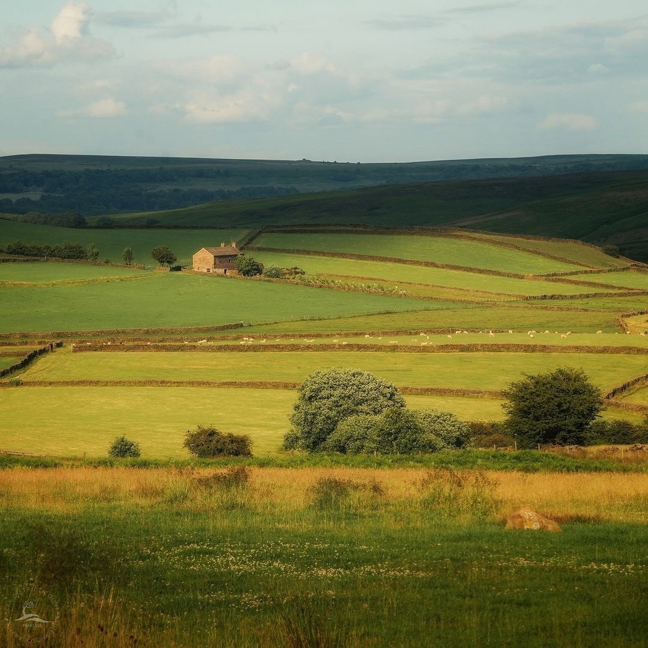 海外文旅# 英国德比郡峰区的夏日田园风光9491 . 676767