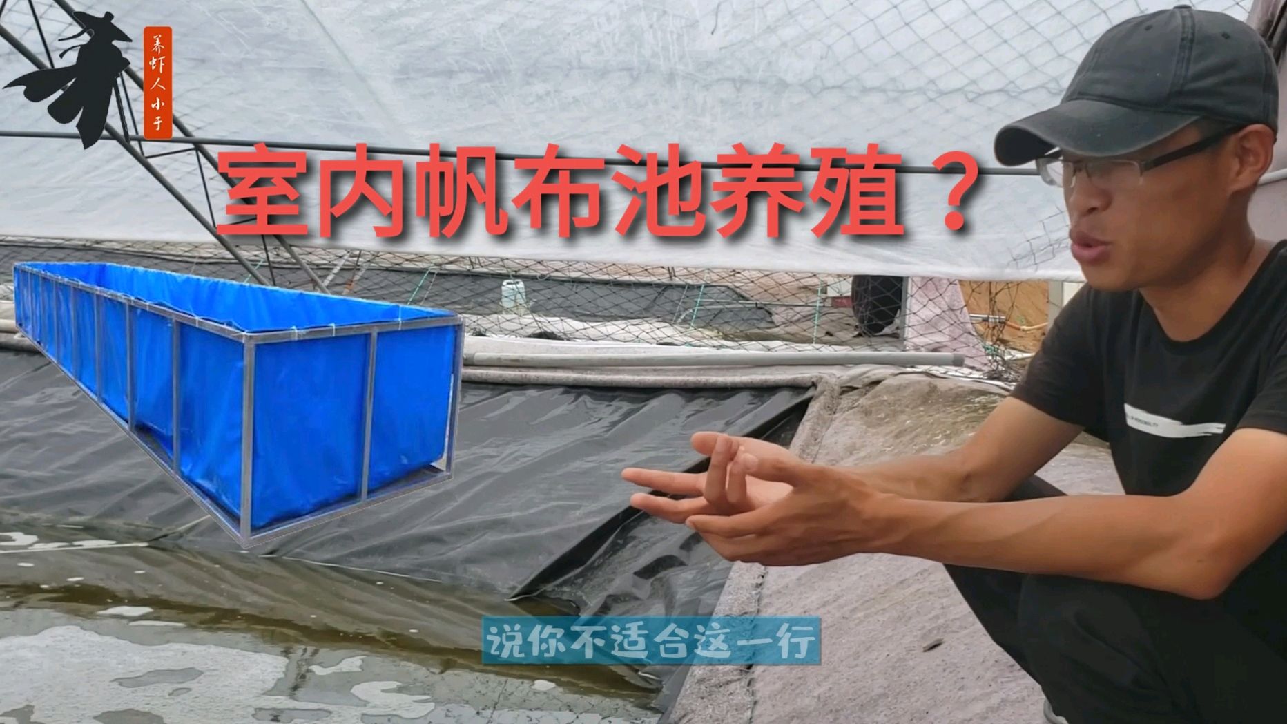 南美白对虾室内帆布池养殖,是暴利项目还是骗局?