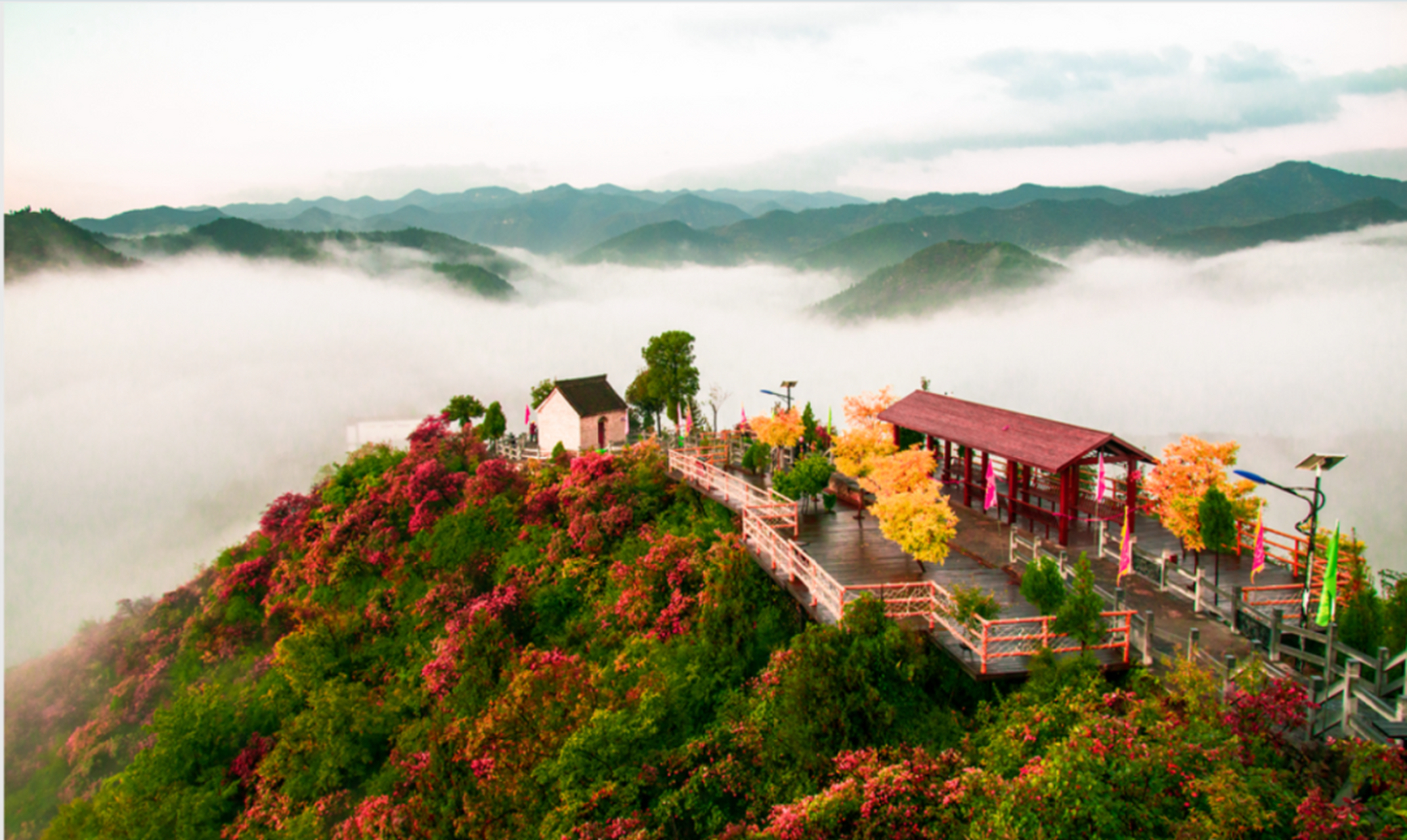 柏尖山位于河南省林州市原康镇,地处太行山山脉,山上林木生长茂盛,每