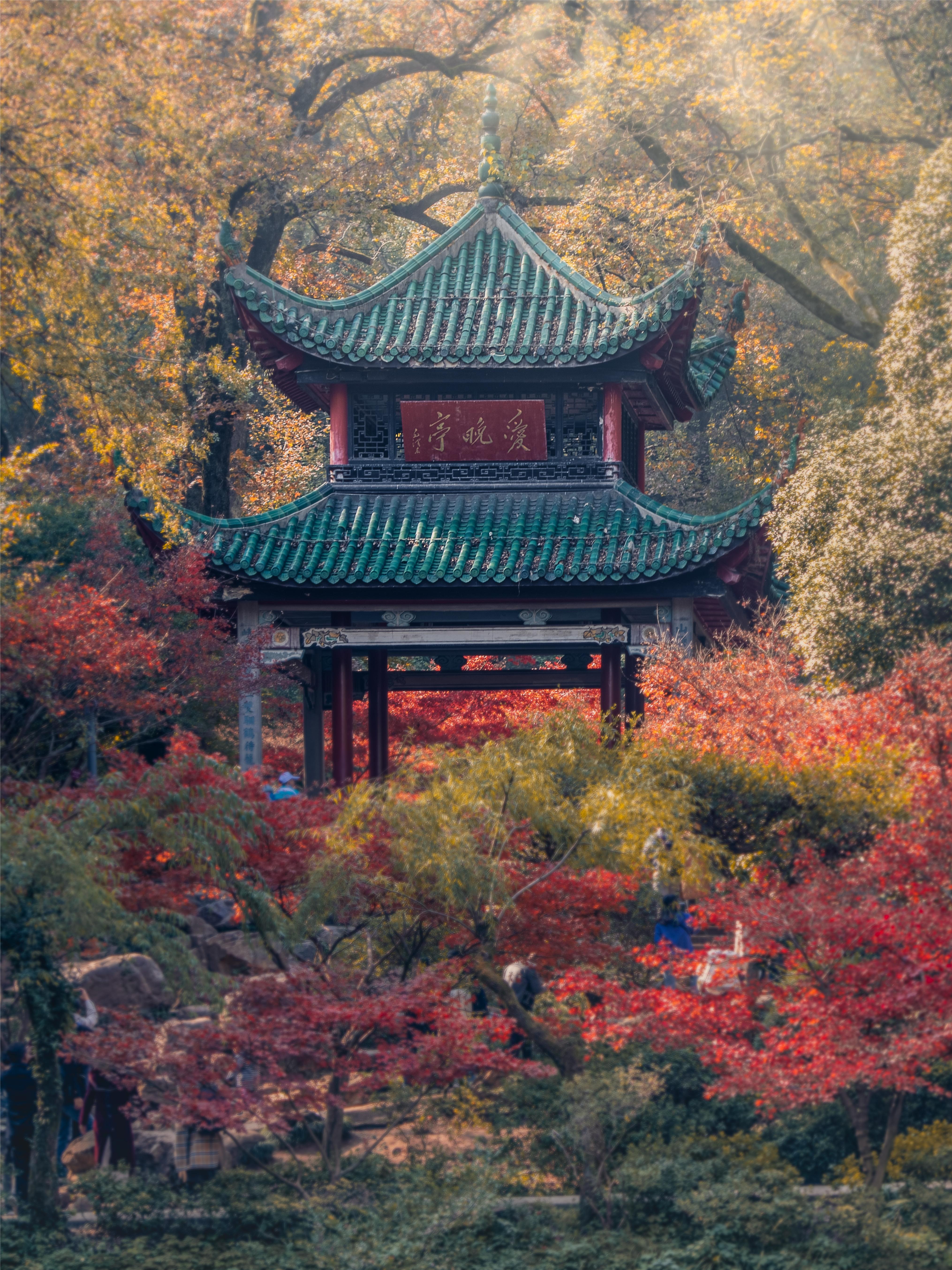 岳麓山风景图片