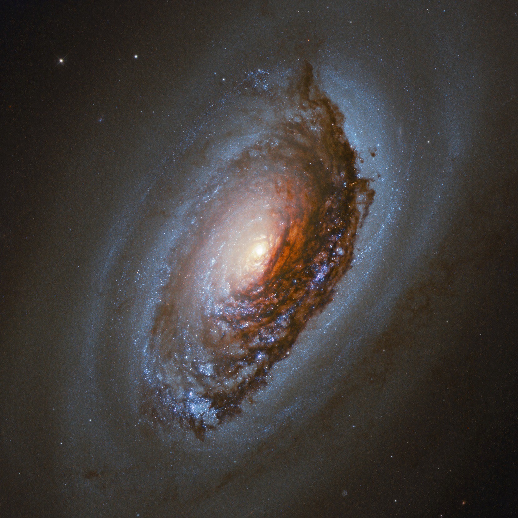 NGC1317星系图片