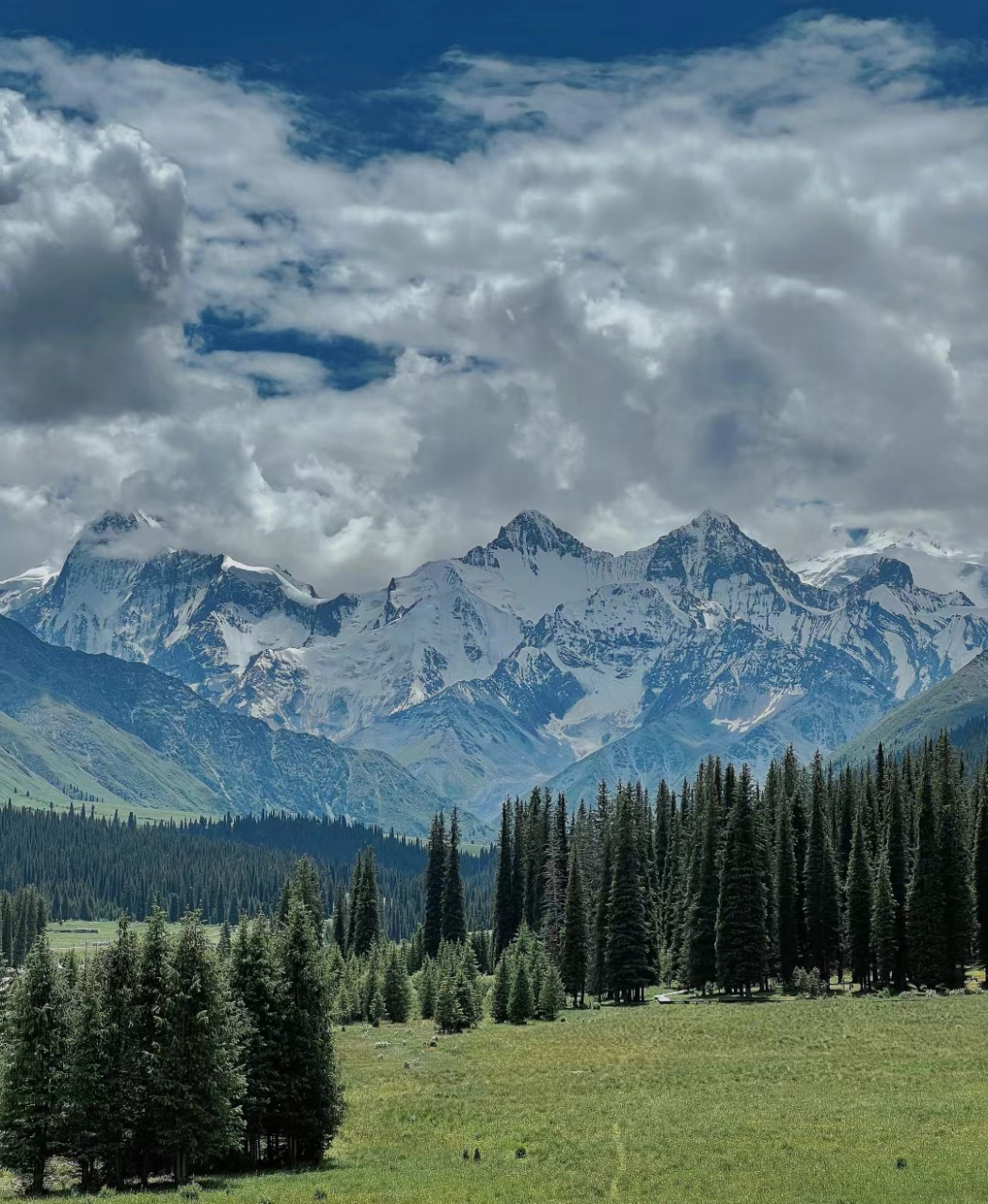 昭苏夏塔风景区,远处有皑皑白雪,蓝天白云如梦如幻,美不胜收.