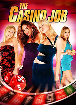 抢劫赌场 The Casino Job (2009) 4.2