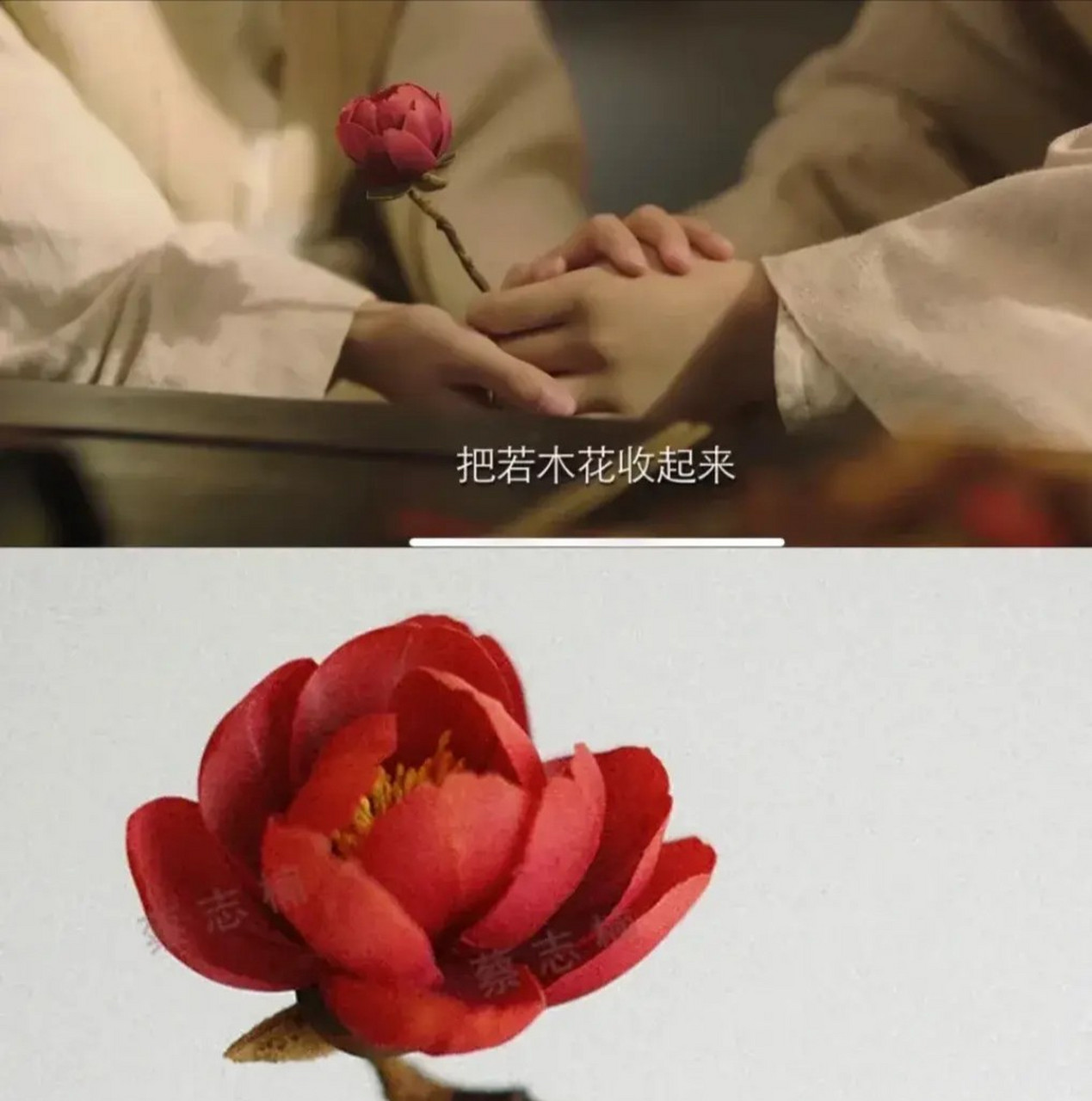 瑲玹的娘说,如果等他遇到一个能让他送出若木花的女子,一定要带她来