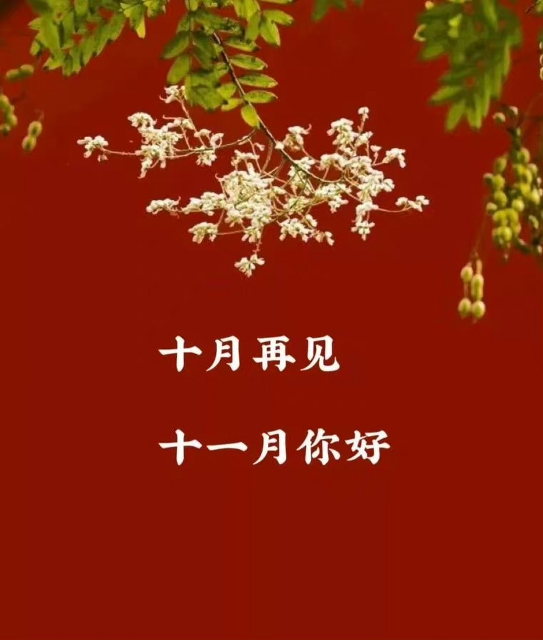 十月再見,十一月你好適合發朋友圈的文案句子祝福語!