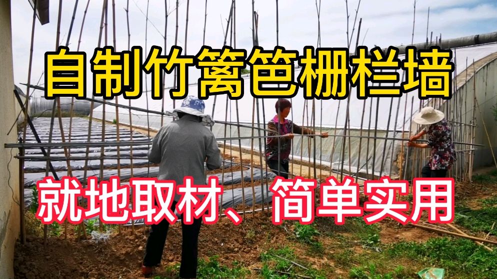 农村自制的菜园竹篱笆栅栏围栏墙,就地取材、简单实用,就是略丑