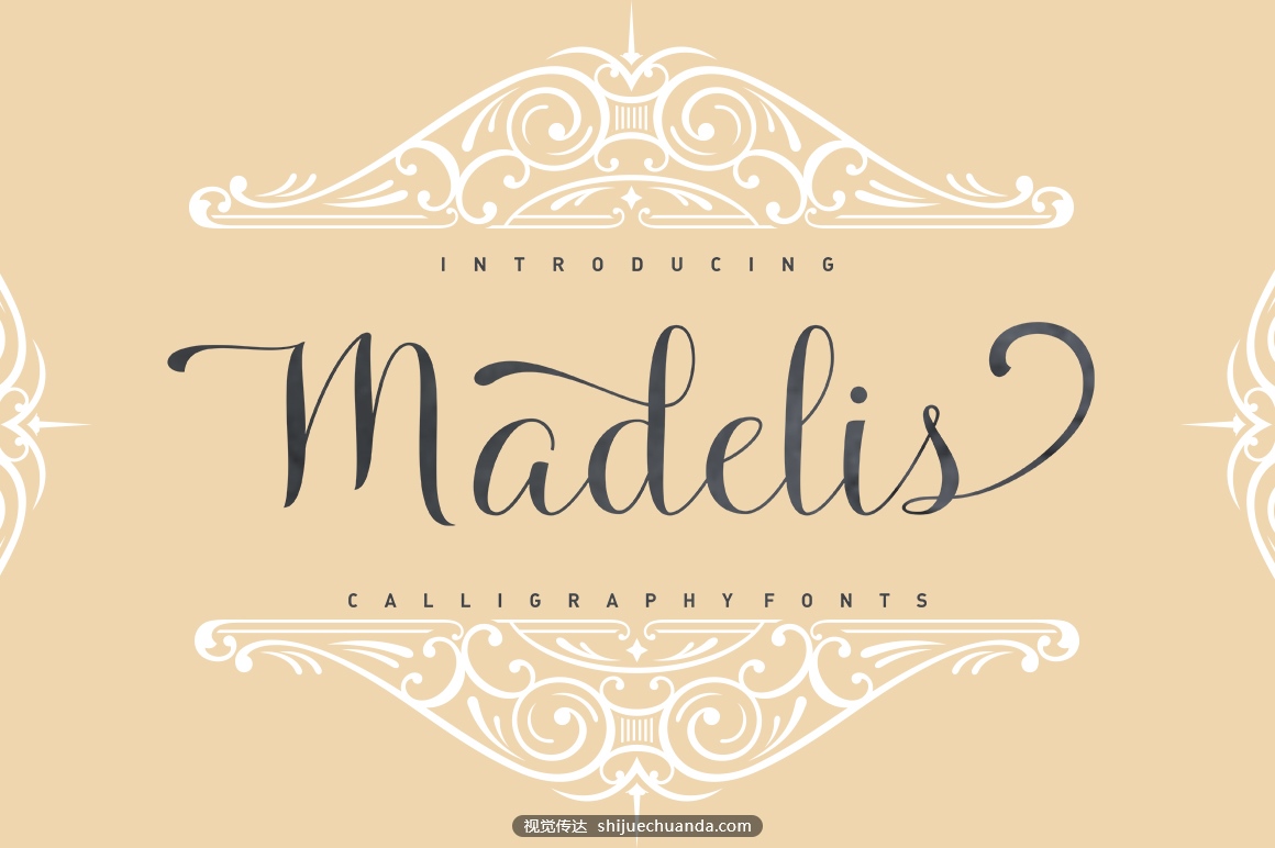 Madelis-Script-by-Stripes-Studio.jpg