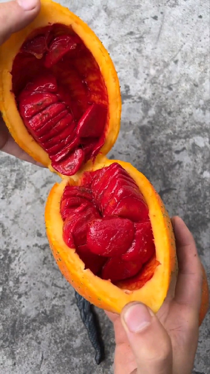 你肯定没见过的水果