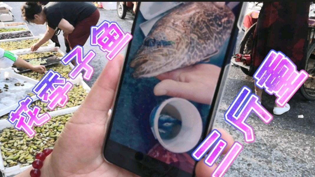 沈阳老哥逛凤城早市遇趣闻:叆河竟有三斤重花季子鱼,卖了三百多