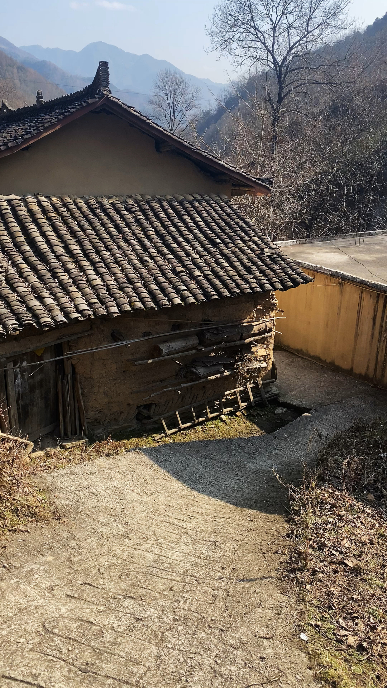 农村的青瓦房真是越来越少了-度小视