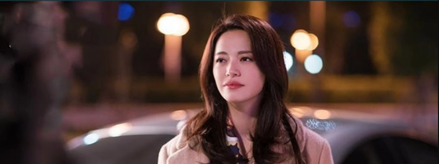 恶之花姚晨是什么意思恶之花是什么事件