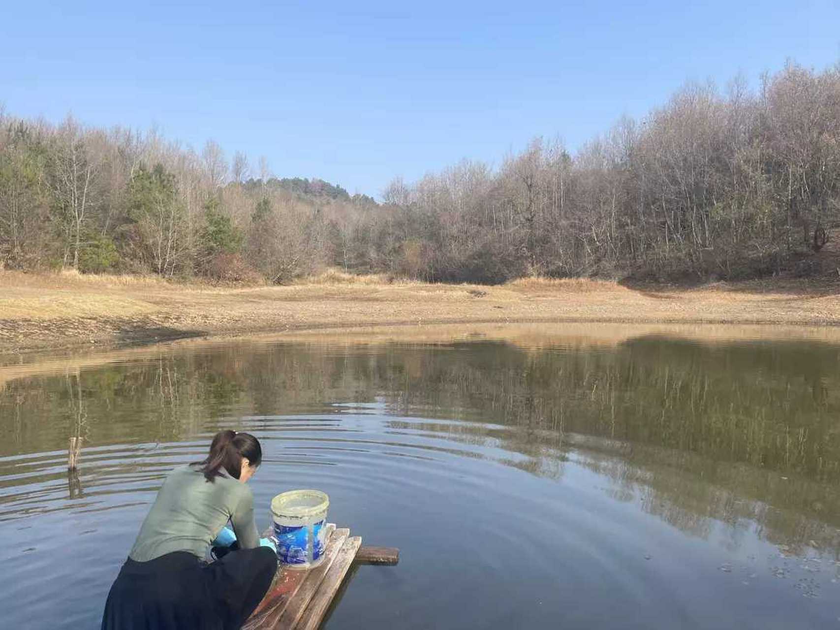 半畝池塘映浣娥,幽林瘦影濯清波. 田園牧野思歸隱,疫禍人間怎奈何.