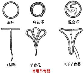 子宫环圆形图片