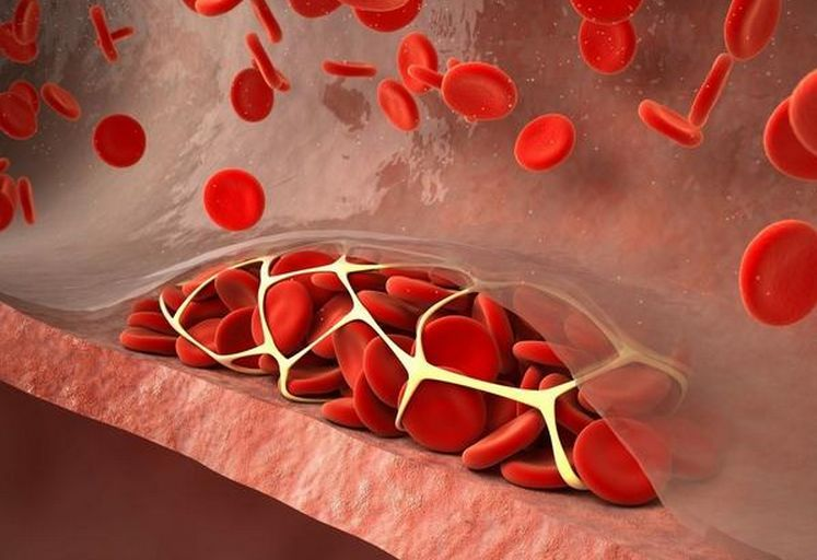 双林生物000403:致力于成为行业领先的生物科技企业