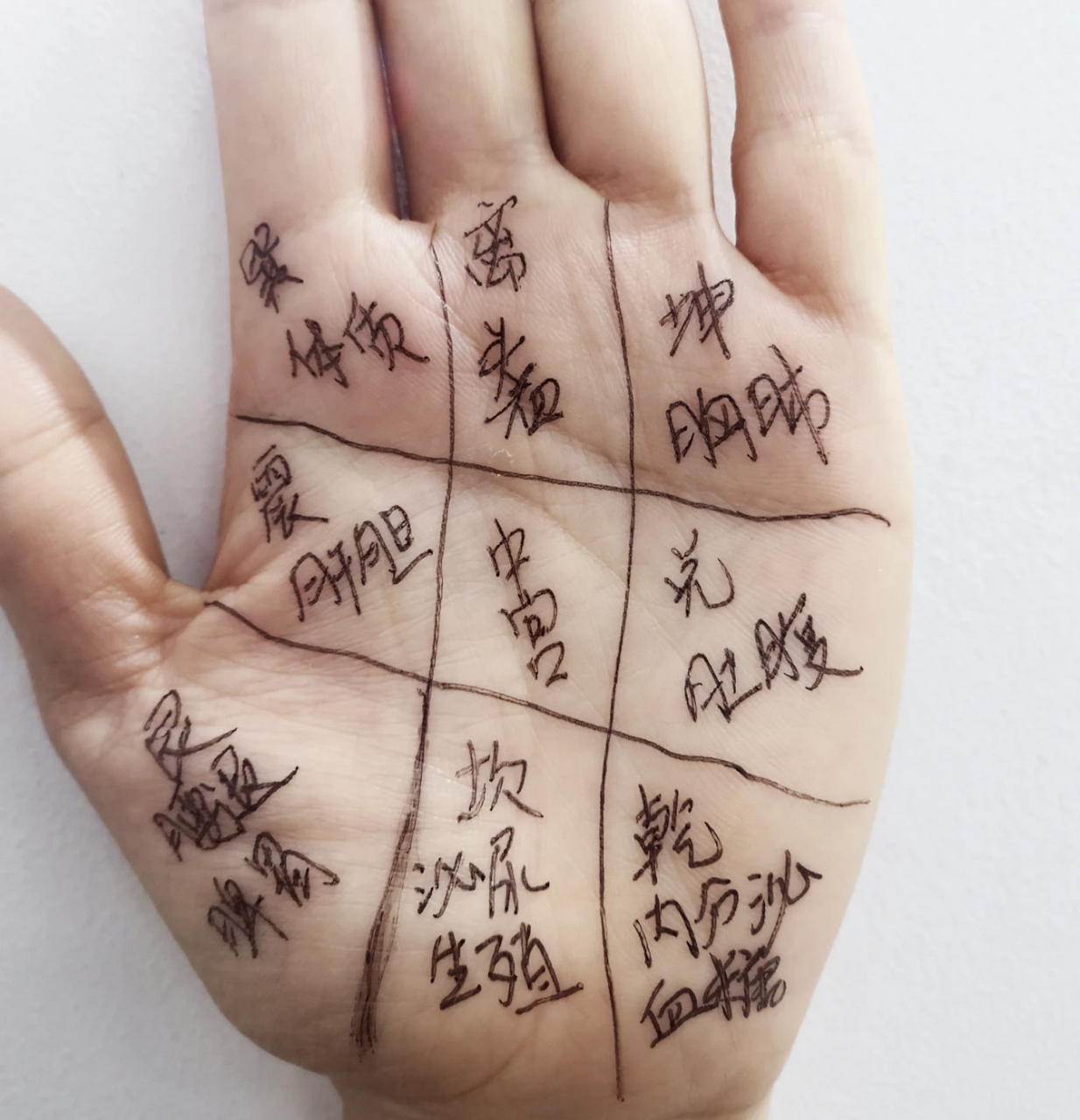 老中医的8条手诊经验, 供大家参考:  1,手掌偏白,提示气血不足.