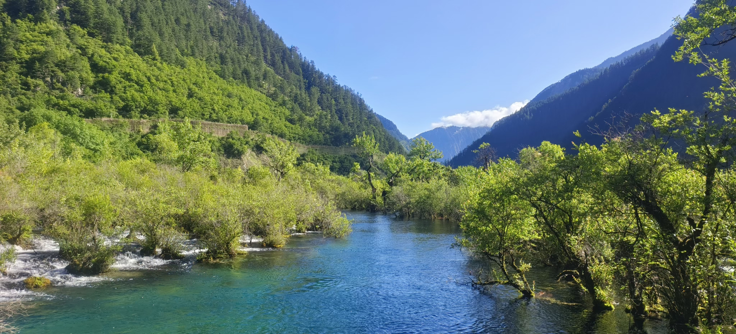 四川九寨沟风景,美如画.