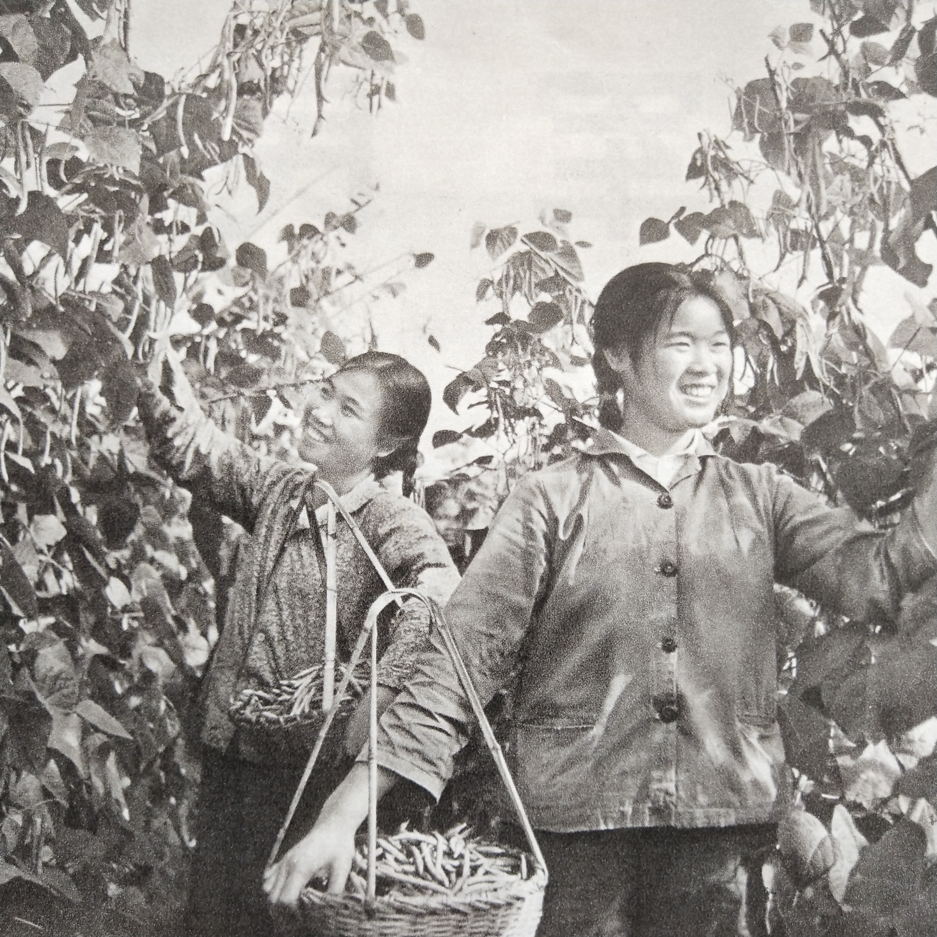 70年代记忆(19)——怀旧图片欣赏