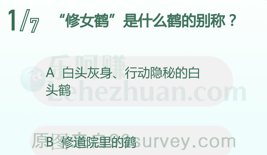 白头灰身行动隐秘的白头鹤的别称叫修女鹤