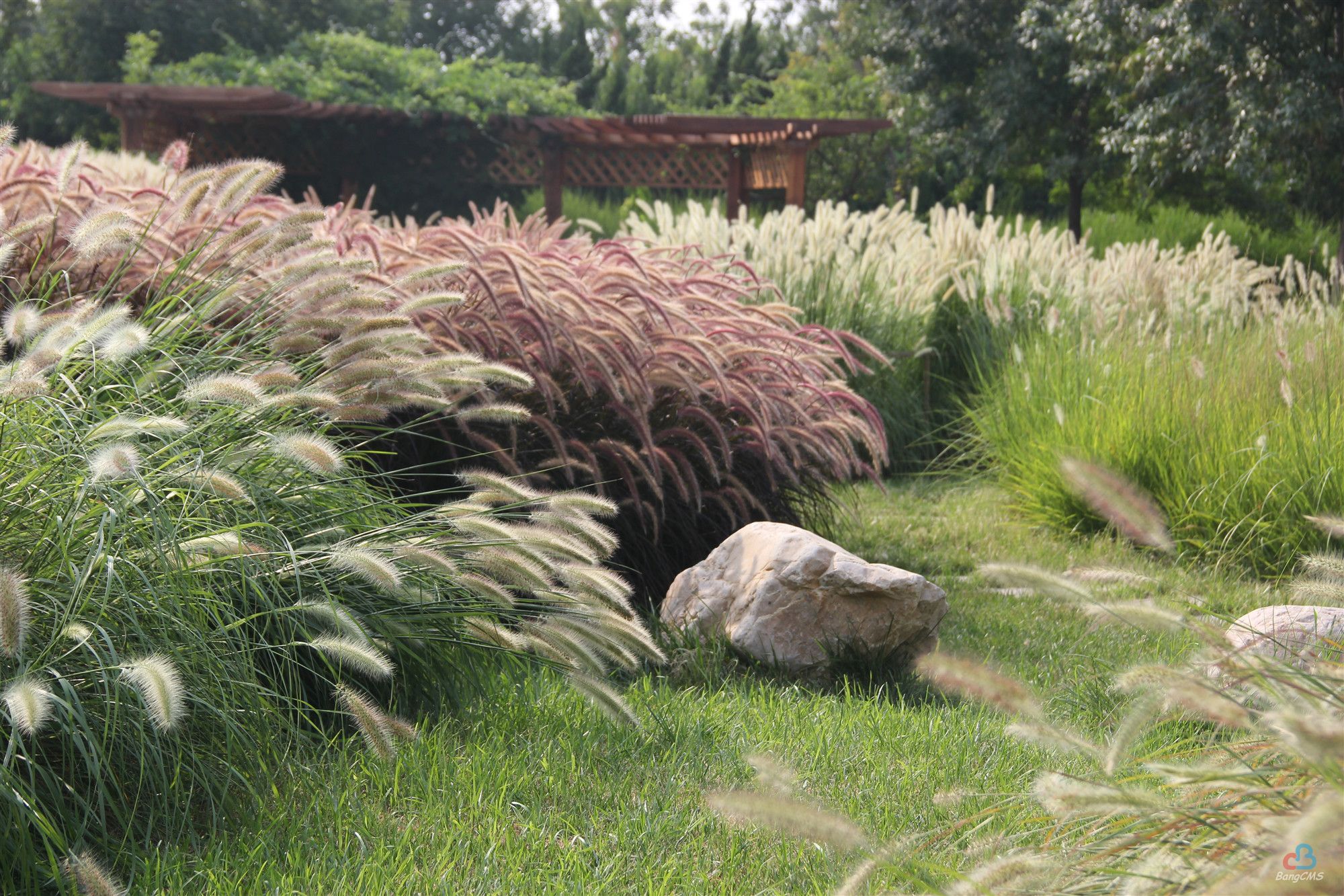 都说秋天的"芊卉园"最仙,那它现在是什么样子呢,一起来看看吧