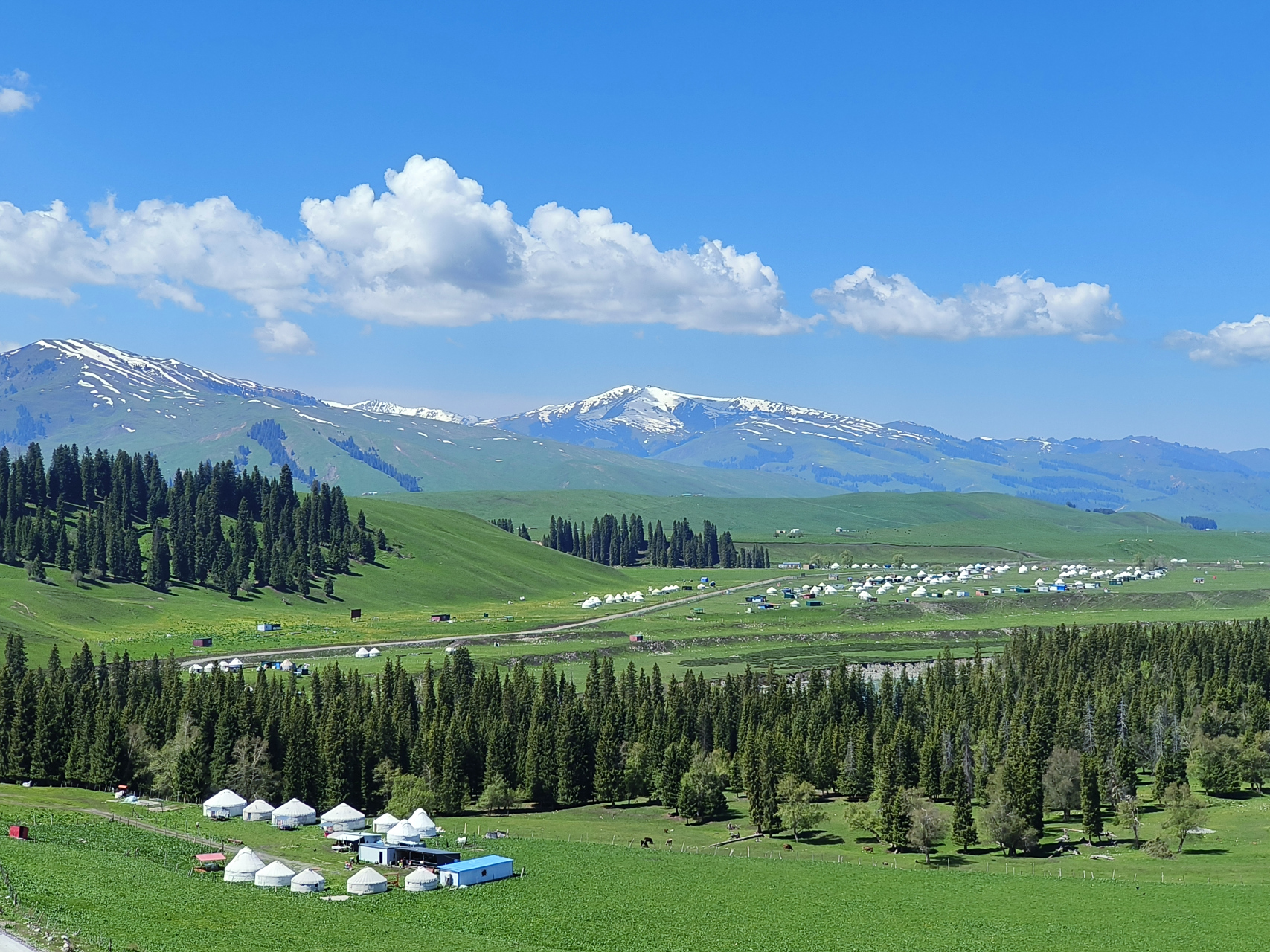 昨天自驾游了被誉为"百里长卷,天然画廊"的唐布拉景区.