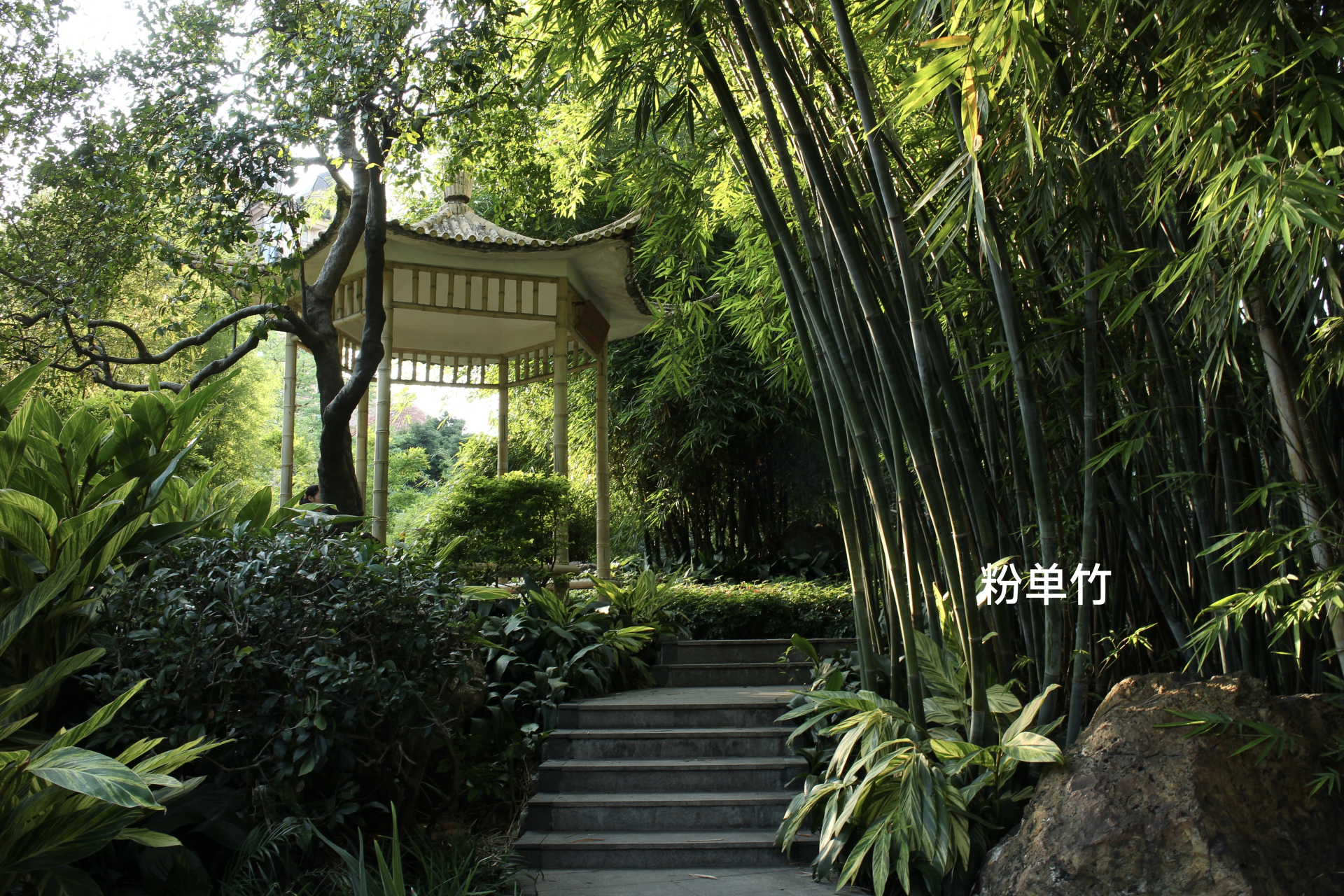 晓港公园的景色图片