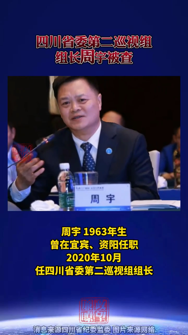 四川省委第二巡视组组长周宇被查