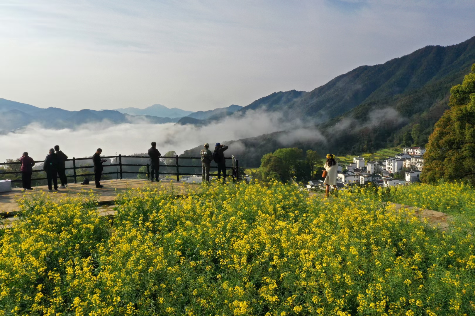 江西省婺源县溪头乡江岭景区美丽如画