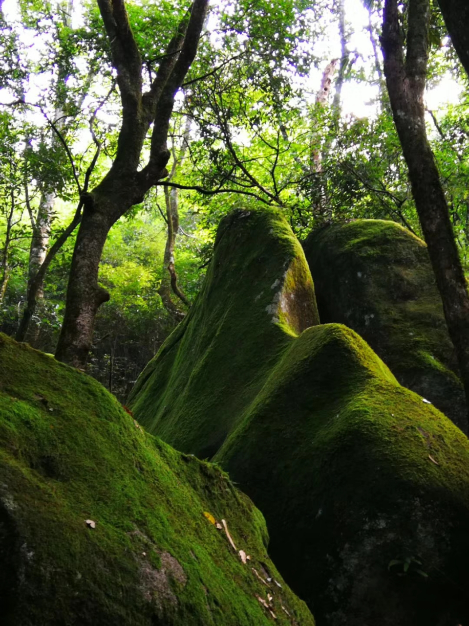 建瓯 风景图片